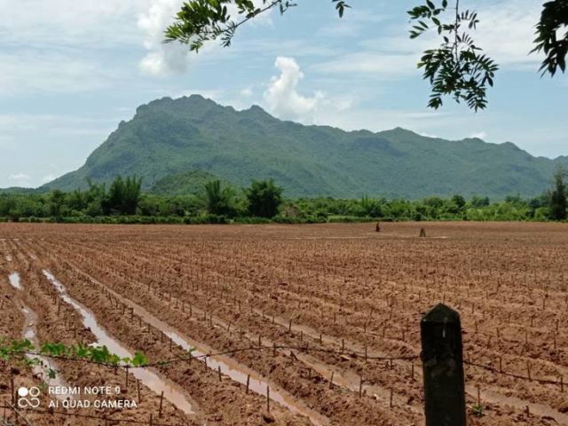 ขายที่ดินติดถนนสายเอเซีย