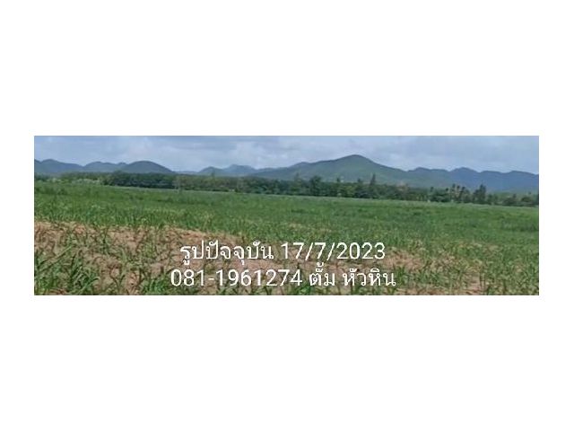 ขายที่ดิน นส3 ก. 500 ไร่ ลักษณะบนเนิน และราบลุ่ม มองเห็นวิวเขา เหมาะทําเมืองใหม่