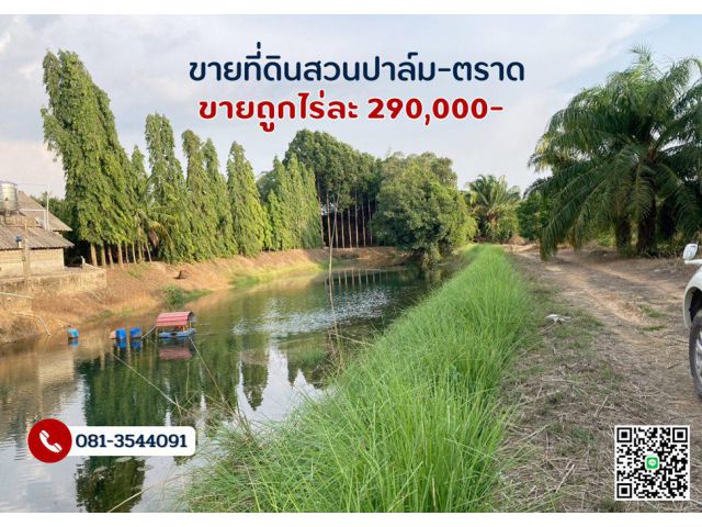 ขายที่ดินสวนปาล์ม-ตราด โฉนด 181-3-49ไร่