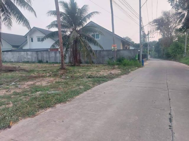 ที่ดิน 3 ไร่ ใกล้เทศบาลตะเคียเตี้ย 200 ม.