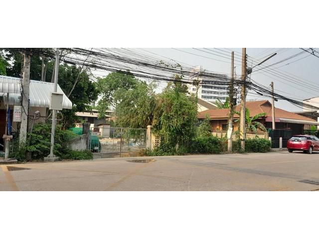 ขายที่ดินแถวราชภัฎ 227 ตรว.ต.ช้างเผือก อ.เมือง จ.เชียงใหม่