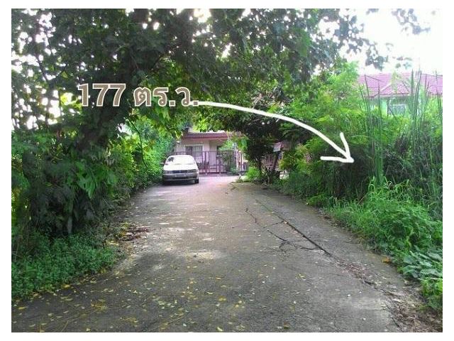 ขายที่ดินเปล่า ซอย สุขาภิบาล 5 ซอย 5 แยก 22 เนื้อที่ 177 ตรว. เหมาะสร้างบ้านพักอาศัย