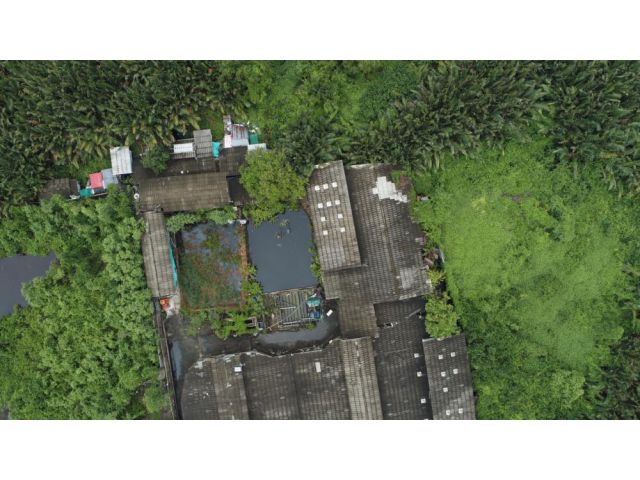ขายโรงงาน 7​ ไร่ ใบอนุญาตพร้อมถนนพระสมุทรเจดี