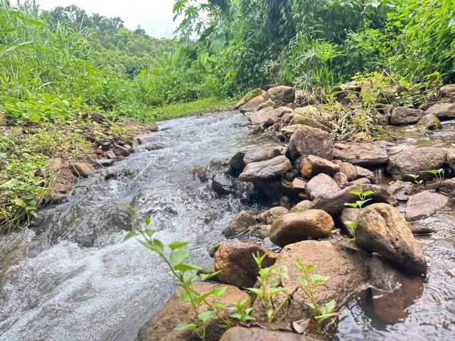 ขายที่ดินบ้านแพะสะเมิงติดลำธารน้ำติดถนนลาดยางพร้อมโอน