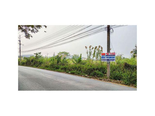 ขายที่ดิน 2 งาน ติดถนน 2 ด้าน หลังเซ็นทรัลเชียงราย อ.เมือง จ.เชีย