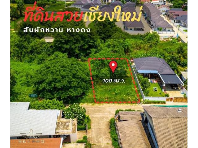ที่ดินแปลงสวย ราคาถูกกว่าตลาด ต.สันผักหวาน อ.หางดง จ.เชียงใหม่
