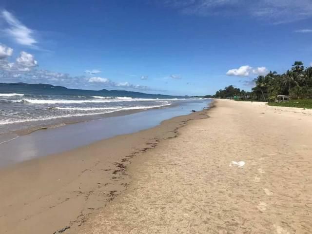 ที่ดินติดชายหาดส่วนตัวแหลมแม่พิมพ์9ไร่