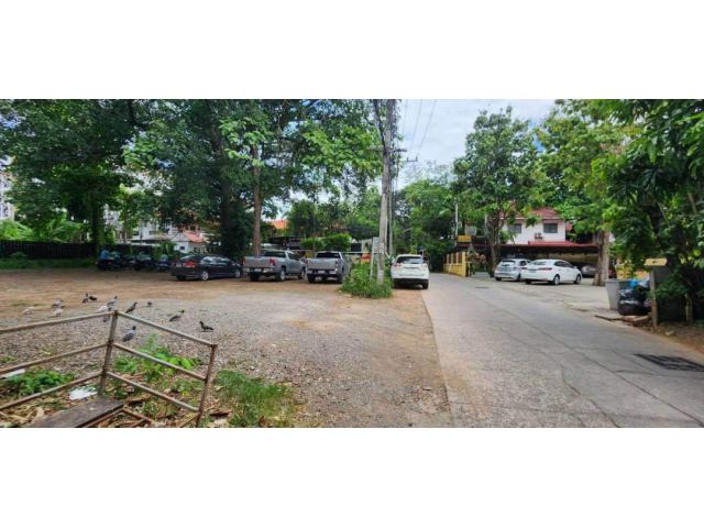 ขายที่ดินตำบลสุเทพหลังมหาวิทยาลัยเชียงใหม่พร้อมโอน