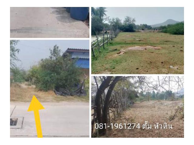 ขายที่ดินโฉนด 1 ไร่ 3 งาน 16 ตรว.ในซอย 102  เหมาะปลูกบ้านพักพูลวิลล่า