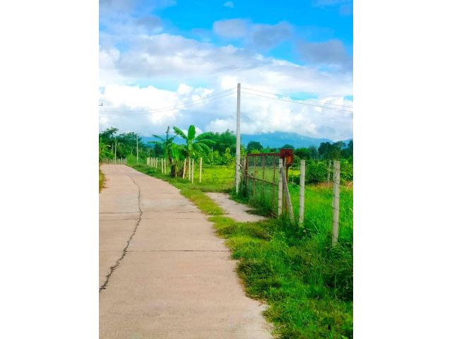 ขายที่ดินติดถนนคอนกรีตไฟฟ้าสามเฟสสันป่ายางแม่แตงโฉนดพร้อมโอน