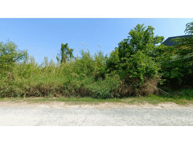 83376 - ขาย ที่ดิน 8 ไร่ 2 งาน 62 ตร.ว. ซอยเชิญบุญ ต.ระแหง อ.ลาดหลุมแก้ว ปทุมธานี ใกล้บริษัท 3เอ็ม ประเทศไทย