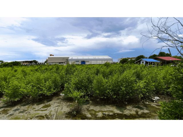 83378 - ขาย ที่ดิน 7 ไร่ 3 งาน 23 ตร.ว. ซอยเทศบาลบางปู 126/2 (ซอยวัดแสงธรรมบุราราม) ต.บางปู อ.เมืองสมุทรปราการ