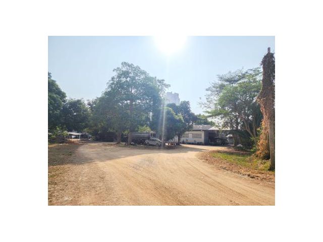 ขายที่ดิน 5 ไร่ (พัทยา-นาเกลือ) ห่างจากชายหาด 800 เมตร