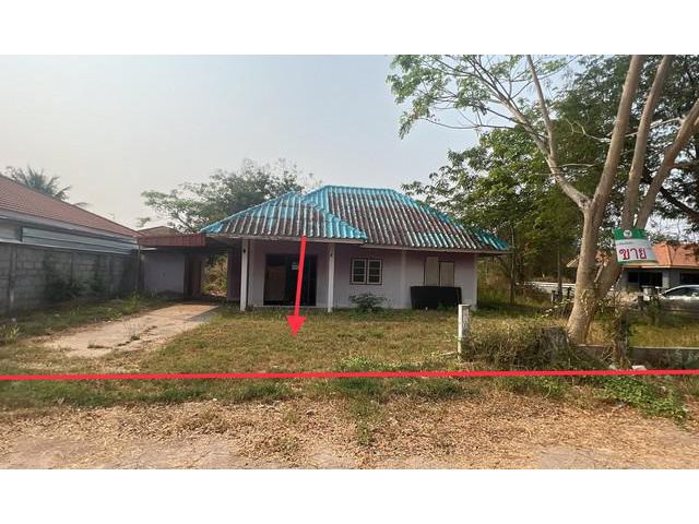 ขายบ้านเดี่ยวโครงการ พฤษชาติแลนด์ อำเภอเมืองขอนแก่น จังหวัดขอนแก่