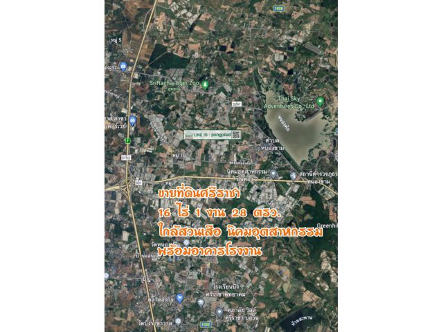 ขายที่ดินศรีราชา ใกล้สวนเสือ นิคมอุตสาหกรรม 16 ไร่ 1 งาน 28 ตรว. พร้อมอาคารโรงงาน