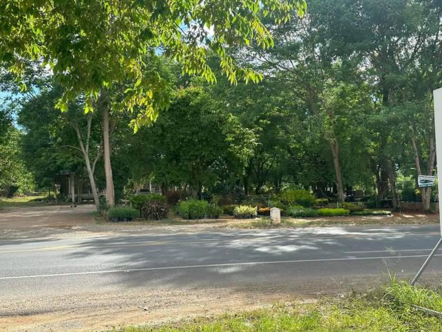 ขายที่ดินติดถนนธนะรัชต์ 18 ไร่ หมูสี ทางขึ้นเขาใหญ่ ที่ดินหน้ากว้างติดถนนธนะรัชต์ 100 ม. เหมาะทำกิจการ โรมแรมร้านอาหาร ส