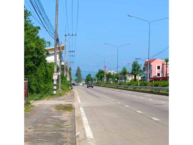 ขายที่ดินติดถนนค้าขายได้บ้านท่าวังตาลสารภีโฉนดพร้อมโอน