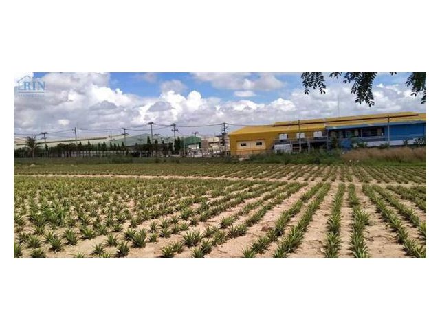 ที่ดินเปล่า 1 ไร่ ติดถนนคอนกรีต ซ.13 แยกไฟแดง สาย 12 ต.มะขามคู่ อ.นิคมพัฒนา จ.ระยอง