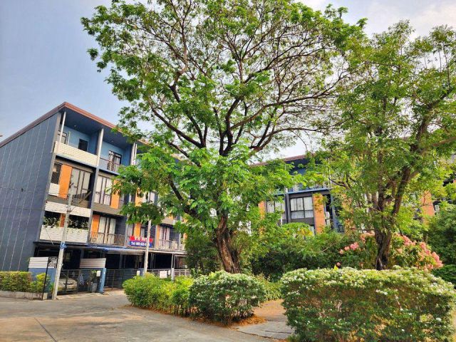 ขายทาวน์โฮม 3.5 ชั้น ย่านแจ้งวัฒนะซอย35 โครงการ HAUS 35 ปากเกร็ด