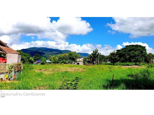 ขายที่ดินตำบลสุเทพสร้างตึกสูงได้ ผังเมืองสีเหลืองพร้อมโอน