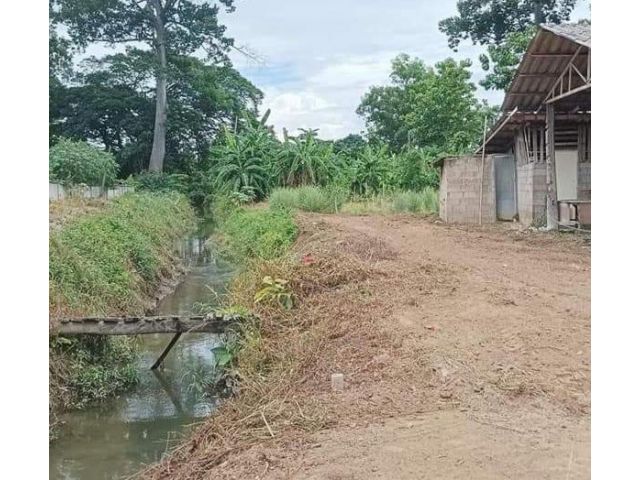 ขายที่ดินบ้านขัวมุงสารภีติดถนนโฉนดพร้อมโอนราคาถูก