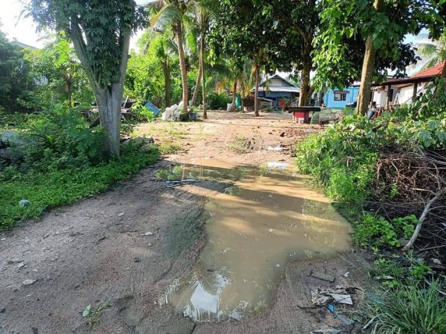 ขายที่ดินหนองขามบ้านหนองเลง 300 ตรว. ใกล้อ่างเก็บน้ำหนองค้อใกล้ถนนเส้น 1028 - 750 เมตร อ.ศรีราชา ชลบุรี