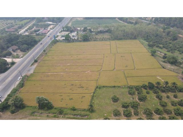 #ขายที่ดินอำเภอแม่วาง วิวทุ่งนา วิวเขา เนื้อที่ 1-1-53 ไร่ ราคา 2.9 ล้าน(โอนคนครึ่ง) เจ้าของที่ต้องการขายด่วน ต่อรองได้