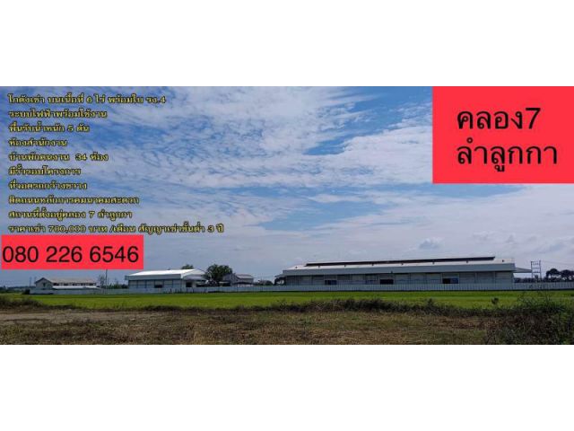 Warehouse factory in thailand for rent and sale klong 7  Lumlukkka pathumthani