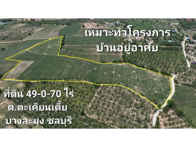 ที่ดิน 49 ไร่ ต.ตะเคียนเตี้ย บางละมุง ชลบุรี ใกล้เทศบาลตะเคียนเตี