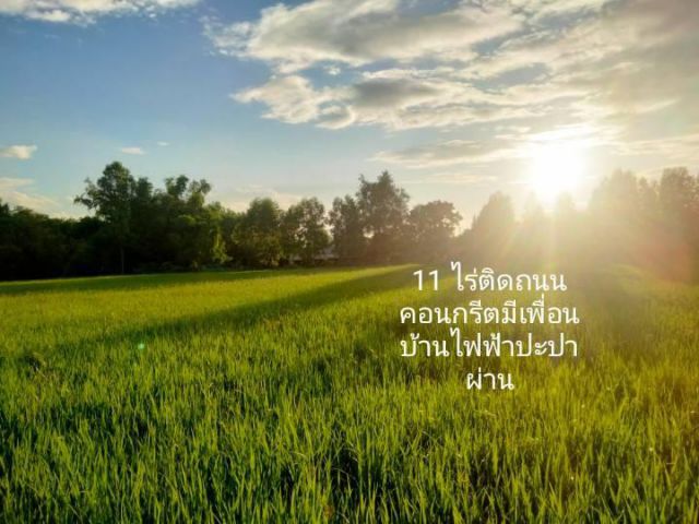 ขายที่นาแปลงสวย 11 ไร่ ติดถนนคอนกรีต ไฟฟ้าปะปาผ่าน เหมาะปลูกบ้านท ำำสวน