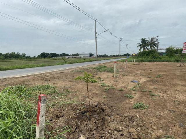 ขายที่ดินถมเเล้วติดถนนบายพาสวังน้อย-ลำลูกกา