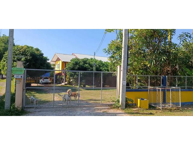 ขายบ้านพร้อมที่ดิน 228 ตรว. มีพื้นที่หน้าบ้านกว้างขวาง