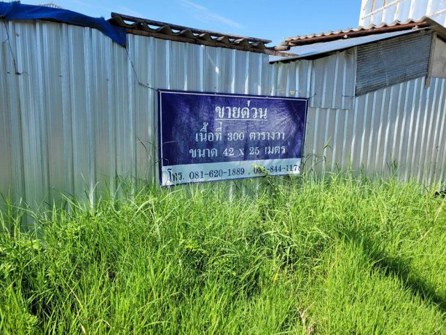 ที่ดินว่างเปล่า ป่าตัน เชียงใหม่ ด้านหน้าติดกับถนน ด้านข้างติด ลำเหมือง น้ำใส สะอาด บรรยากาศดี ใกล้ตลาด และศูนย์การค้า เ