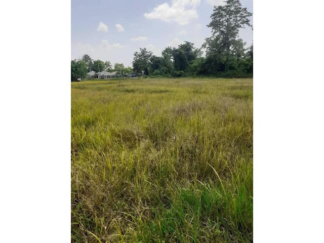 ขายที่ดิน 2 ไร่ 3 งาน 54 ตรว. สันปูเลย ดอยสะเก็ด