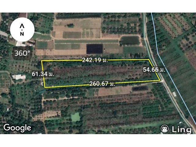 ขายที่ดินสวนต้นสักและลำไย เขตติดต่อสารภี-เชียงใหม่