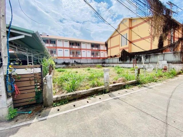 ขายที่ดินบ้านป่าไผ่สันทรายห่างเซเว่นเพียง 150 เมตรพร้อมโอน
