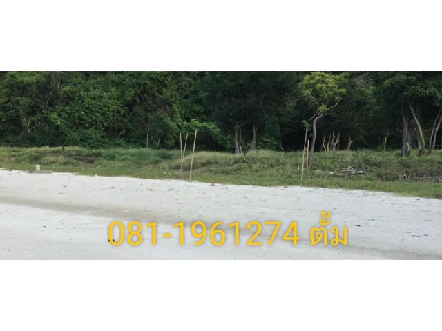 ขายเกาะ ใบโฉนด รวม 20 ไร่ 2 งาน 20 ตรว. หาดทรายขาวกว้าง 320 เมตร ทําเลดี