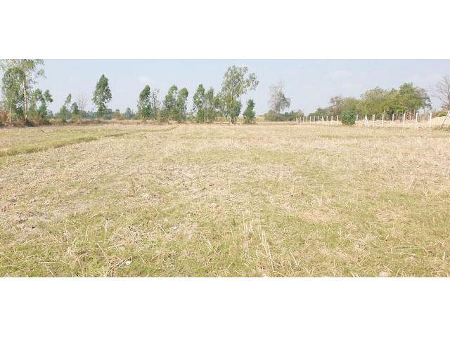 ขายที่ดินเปล่า 5 ไร่ ใกล้วัดทะเลบก และ ใกล้โรงเรียนวัดทะเลบก
