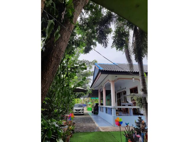 H94 ให้เช่าบ้านสวน 3 ห้องนอน/ 3 Beds Garden Villa