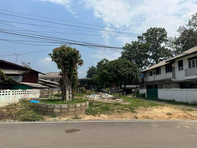 ขายที่ดินบ้านหนองผึ้งสารภีห่างถนนต้นยางเพียง 100เมตร