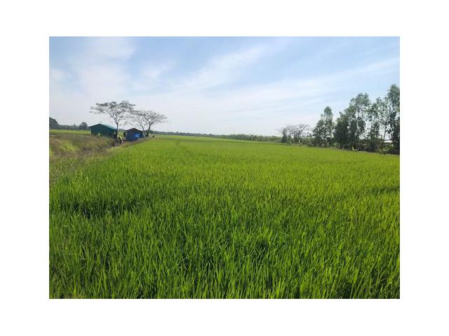 ขายที่ดินสวยห่างถนนเชื่อมสัมพันธ์ ประมาณ 3.5 กม.  กรุงเทพฯ