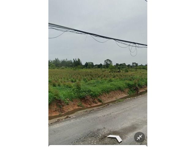 ขายที่ดิน 1200 ไร่ ผังม่วง