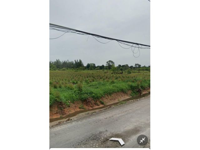 ขายที่ดิน 1200 ไร่ ผังม่วง ติดสวนอุตสหกรรม 304  ต หนองกี่ อ กบินทร์บุรี จ ปราจีนบุรี