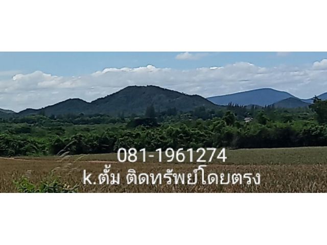 ขายที่ดินโฉนดรวม 100 ไร่ ติดลาดยาง บนเนิน วิวเขารอบ