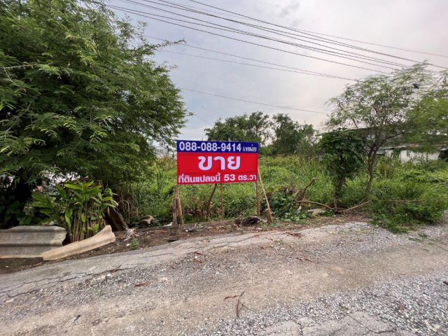 ที่ดิน พัฒนาชนบท ซอยทองคำ 4 ขนาด 53 ตร.วา