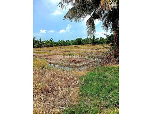 ขายที่ดินบางบัวทอง นนทบุรี