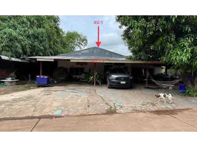 ขายบ้านเดี่ยวใกล้โลตัส เมืองพล อำเภอพล จังหวัดขอนแก่น