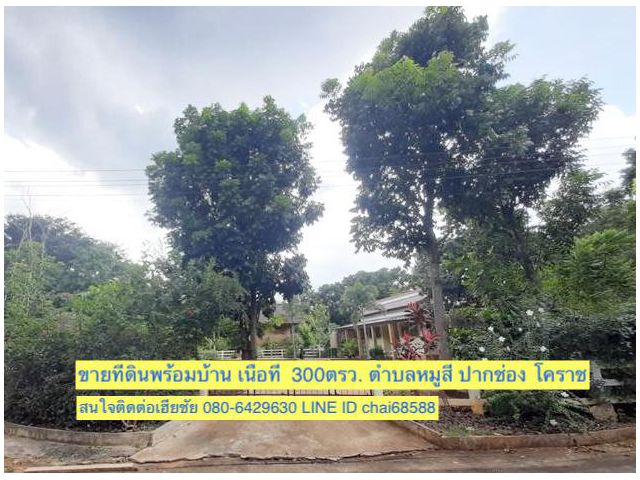 ขายที่ดินพร้อมบ้านพัก ตำบลหมูสี ปากช่อง โคราช ที่ดินพร้อมบ้าน 300ตรว. ใกล้ถนนหลัก ใกล้ทอสคาน่า
