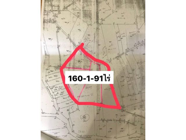ขายที่ดินสีม่วงบ่อวิน 160-1-91ไร่ ไร่ละ 4.5ล้าน ต.บ่อวิน อ.ศรีราชา จ.ชลบุรี - ที่ดินสีม่วงทำอุตสาหกรรมได้ ที่ดินรวม5โฉนด อยู่ในแหล่งชุมชนโรงงาน