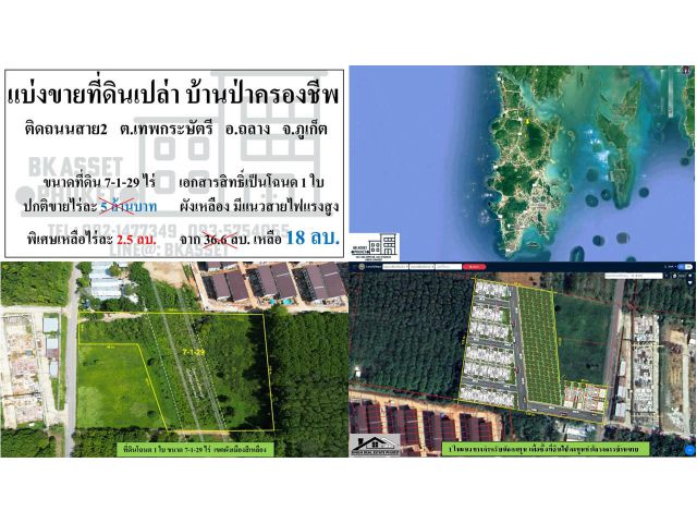 ขายที่ดิน ป่าครอก ภูเก็ต